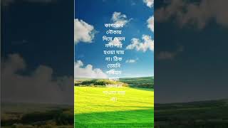 Nachiketa song music song newsong bani lovesong niti Kathahasibunneshabibi [upl. by Gleda694]