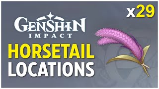 ALL 29 Horsetail Locations  Genshin Impact [upl. by Savart588]