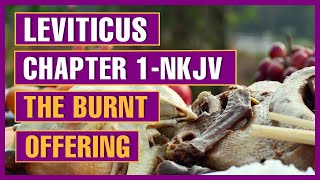 Leviticus 1  The Burnt Offering NKJV [upl. by Salman]