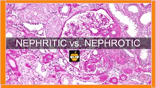 Nephritic vs Nephrotic Syndromes [upl. by Airrat]