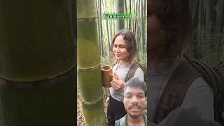 Bans ke ped mein Pani 🤯 greenscreen shorts entertainment camping survival bushcraft [upl. by Juditha]