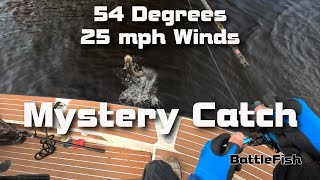 54 Degrees 25 mph Winds Mystery Catch [upl. by Ymereg153]