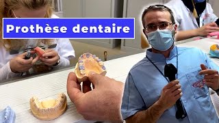 Formation métiers de la prothèse dentaire 🦷 l Eschau [upl. by Schriever]