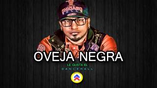 Oveja Negra  Le Gusta el Dancehall  Regaetonecuador [upl. by Ayotel]