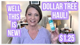 DOLLAR TREE HAUL  NEW  125  Fantastic Finds  THE DT NEVER DISAPPOINTS 😁 [upl. by Karlyn]