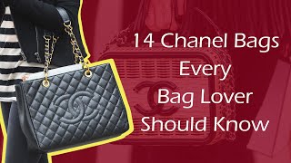 14 Chanel Bags Every Bag Lover Should Know [upl. by Enoved509]