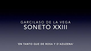 🌹 GARCILASO de la Vega 🌹 Soneto XXIII 🌹 En tanto que de rosa y dazucena [upl. by Marrilee]