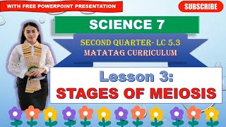 SCIENCE 7 Quarter 2 LC 53 STAGES OF MEIOSIS MATATAG CURRICULUM [upl. by Shanney]