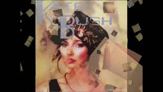 Kate Bush – Passing Through Air 1980 [upl. by Gerta165]