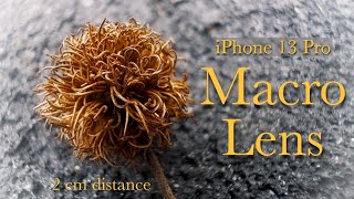 iPhone 13 Pro  Macro Lens Video Test [upl. by Evangelina]