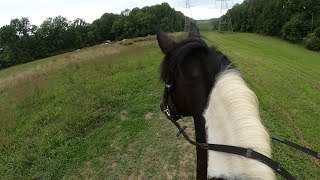 972024 GOPRO JennaampDreamer Light Trail Ride Compilation [upl. by Accissej]