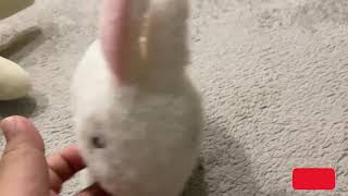 Pitter Patter Pets  Teeny Weeny Bunny [upl. by Randy992]