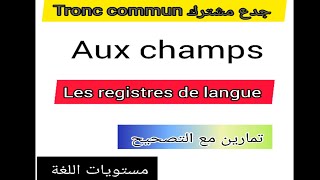 tronc commun جدع مشترك علوم وآداب aux champs les registres de langue مستويات اللغة تمارين مع التصحيح [upl. by Eeimaj]