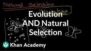 Introduction to Evolution and Natural Selection [upl. by Aicinat697]