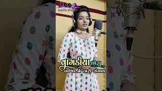 Vagadiya Chhora Laijane Tari Sangath Singer Mittal Manodara [upl. by Shiau]