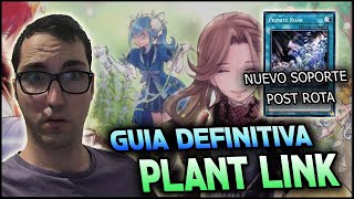 GUIA DEFINITIVA RIKKA SUNAVALON DECK PROFILE Y COMBOS YUGIOH 2024 FT jmatcg [upl. by Teteak]