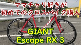 【XL1200X】Escape RX 3初心者レビュー [upl. by Krahmer]