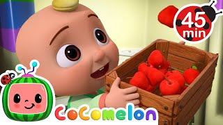 Hungry Tummy 🍎  CoComelon Animal Time  Animals for Kids [upl. by Ettenan]