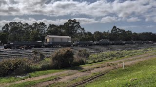 TasRail ZQ ballast wagons in East Tamar Yard [upl. by Haggai]