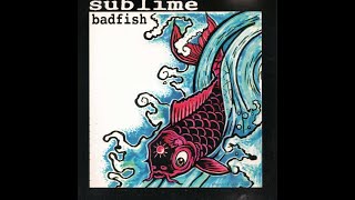 🎸Sublime  Badfish  E Standard  Rocksmith 2014 Guitar Tabs [upl. by Buffy]