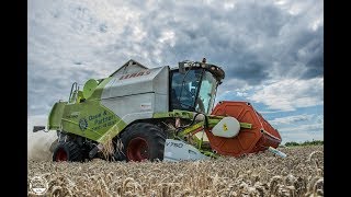 Dreschen 2018  Claas Tucano 480  LU Daue und Partner [upl. by Rivers]