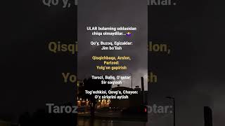 ULAR bularning uddasidan chiqa olmaydilar🤷‍♀ shortvideo automobile psixolog weather [upl. by Nonna]