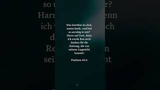 Psalmen 426 SchlachterÜbersetzung bibel vers bibelvers inspirational psalm jesus christus [upl. by Killie]