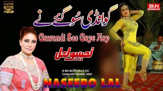 Gawandi Soo Gaye Nay  Naseebo Lal  New Punjabi Song  Mujra Dance Song 2024 [upl. by Arras54]