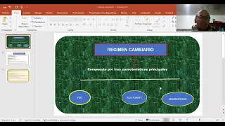 Regimen cambiarío [upl. by Kahcztiy]