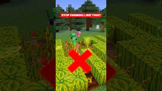 Minecraft Melon Farm shorts [upl. by Woolcott804]