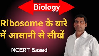 Ribosome के बारे में आसानी से सीखें NCERT Biology Our study room Udayrajsir17 [upl. by Clellan]