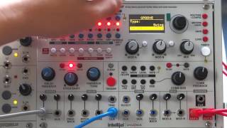 Intellijel Designs Rainmaker Delay Parameter Basics  Clockface Modular [upl. by Enelegna]