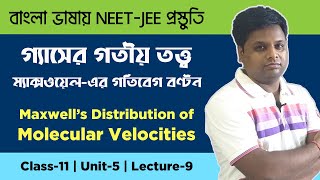 Maxwells distribution of molecular velocitiesKinetic Theory of GasClass 11 ChemGuidanceNEETJEE [upl. by Honig]