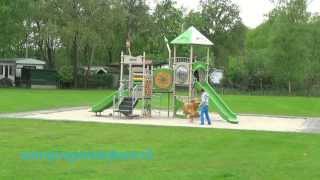 Camping Frerichsoord Meijel [upl. by Salot426]