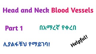 Anatomy ǀ Blood VesselsSupply of Head and Neck Interesting Video with Amharic Speech Part 1 [upl. by Lemcke]