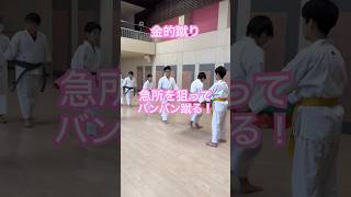 沖縄空手・琉球古武道 人と比べない！ 空手 karate 健康 沖縄空手 古武道 [upl. by Markland194]