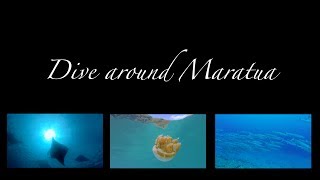 Dive around Maratua Maratua  Sangalaki  Kakaban [upl. by Jovitah439]