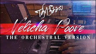 Velicha Poove  The Orchestral Version  Ethir Neechal  Anirudh  Piano Cover [upl. by Cavan]