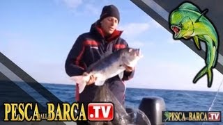 Come imparare a pescare i dentici Dentex dentex  parte 2 di 3  Pesca dalla Barca TV [upl. by Roseanne704]