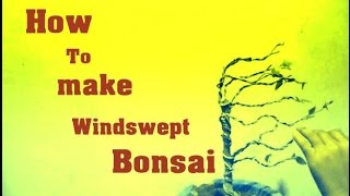 How to Make a windswept Bonsai  Mammal Bonsai [upl. by Krystalle]