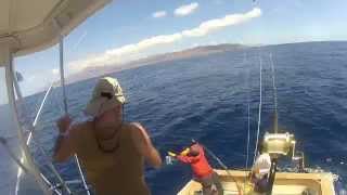 Blue Marlin fishing Cape Verde [upl. by Mitzl]