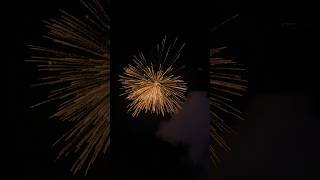 AMAZING FIREWORKS IN DIWALI 🎇🪔trending viralvideo fireworks [upl. by Hubsher]