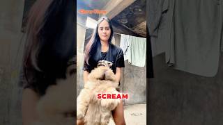 My Calvin Klein Ck and Dior chows chowchow chowspacktv [upl. by Hpsoj783]