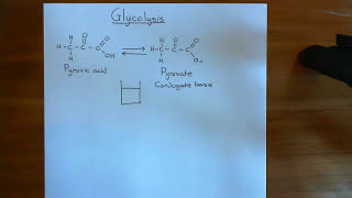 Glycolysis Part 1 [upl. by Ennayoj196]