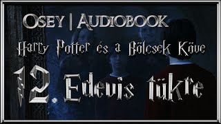 Harry Potter és a Bölcsek Köve hangoskönyv  12 fejezet [upl. by Sherris540]