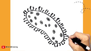 How to Draw Bacteria [upl. by Elohcan]