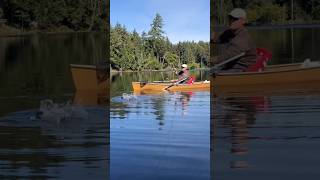 Adirondack Trout Fishing adirondacks [upl. by Lacim478]