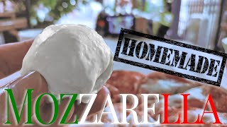 Mozzarella Käse selber machen Aber RICHTIG ohne Zitronensäure [upl. by Eulalee134]