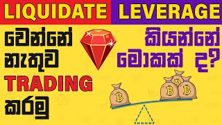 What is Leverage and How to Liquidate Price  Basic Trading Terms  Sinhala  binance sri lanka [upl. by Ennayoj]