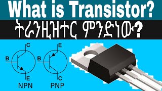 What is Transistor  ትራንዚዝተር ምንድነው [upl. by Gill]